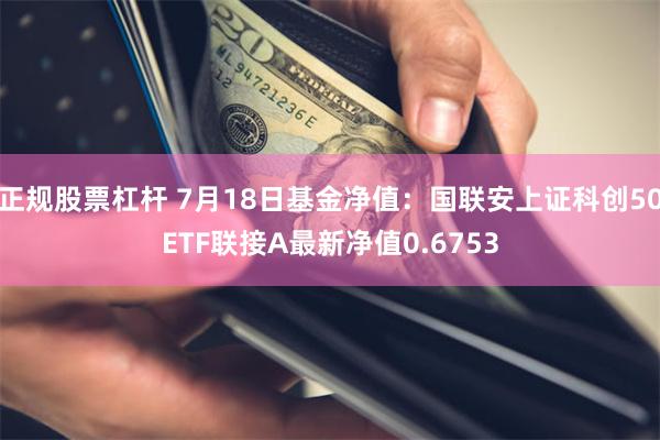 正规股票杠杆 7月18日基金净值：国联安上证科创50ETF联接A最新净值0.6753