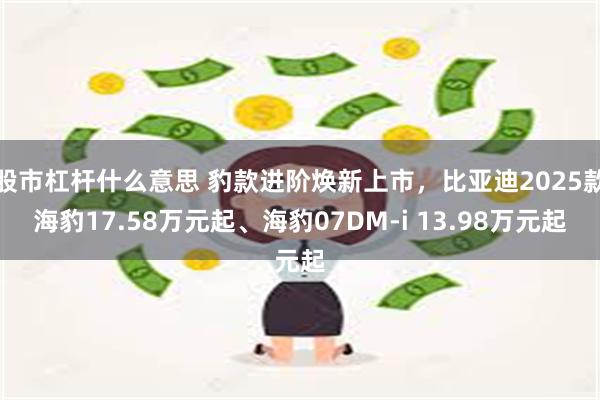 股市杠杆什么意思 豹款进阶焕新上市，比亚迪2025款海豹17.58万元起、海豹07DM-i 13.98万元起