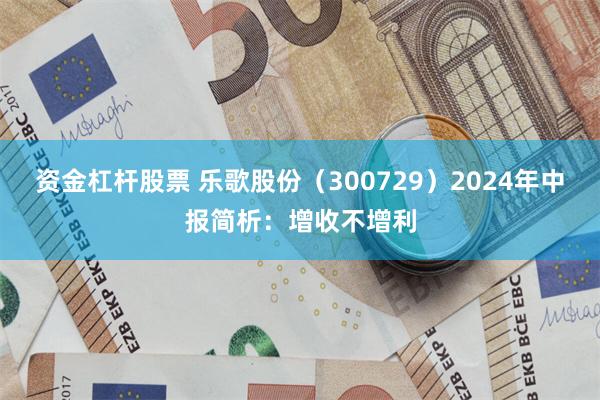 资金杠杆股票 乐歌股份（300729）2024年中报简析：增收不增利