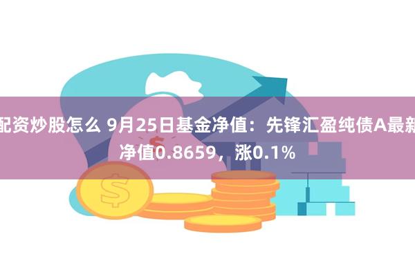 配资炒股怎么 9月25日基金净值：先锋汇盈纯债A最新净值0.8659，涨0.1%