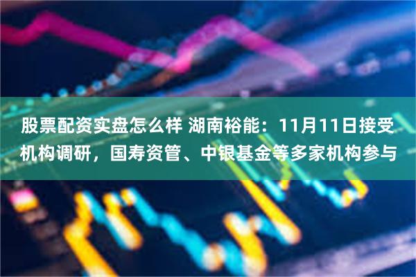 股票配资实盘怎么样 湖南裕能：11月11日接受机构调研，国寿资管、中银基金等多家机构参与