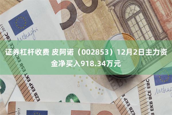 证券杠杆收费 皮阿诺（002853）12月2日主力资金净买入918.34万元