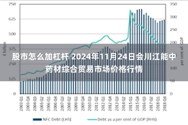 股市怎么加杠杆 2024年11月24日会川江能中药材综合贸易市场价格行情