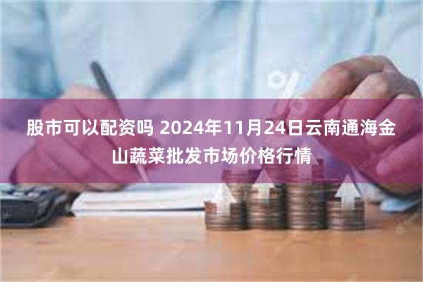 股市可以配资吗 2024年11月24日云南通海金山蔬菜批发市场价格行情