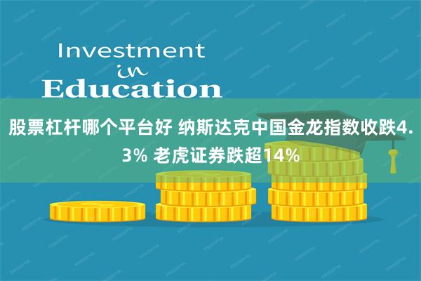 股票杠杆哪个平台好 纳斯达克中国金龙指数收跌4.3% 老虎证券跌超14%