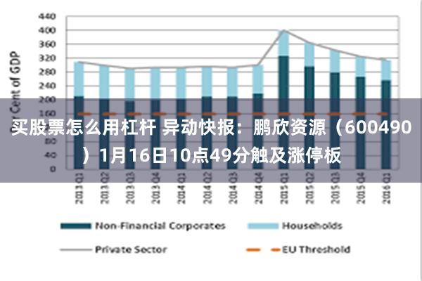 买股票怎么用杠杆 异动快报：鹏欣资源（600490）1月16日10点49分触及涨停板